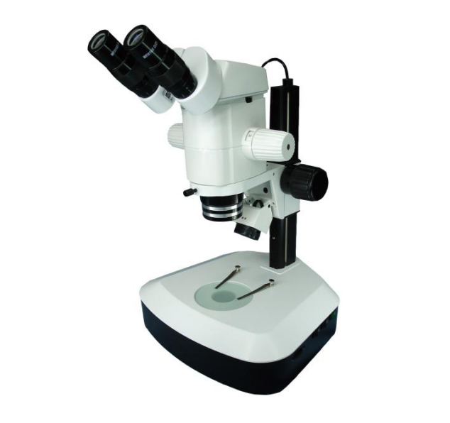 SM30+3231B SM Series Stereo Zoom Microscope.png