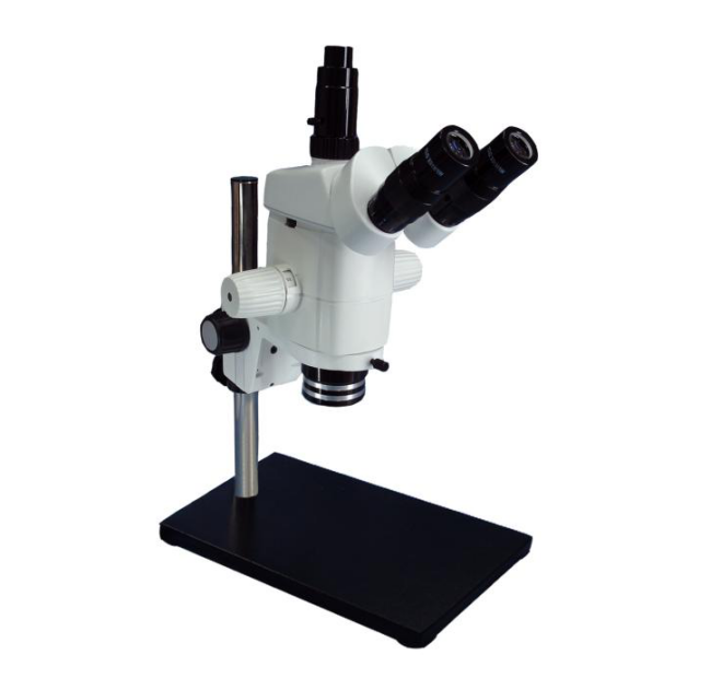 SM30+3160B SM Series Stereo Zoom Microscope.png